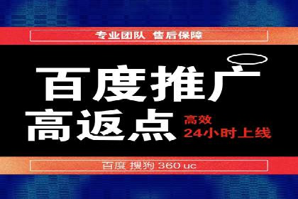 竞价托管服务案例解析